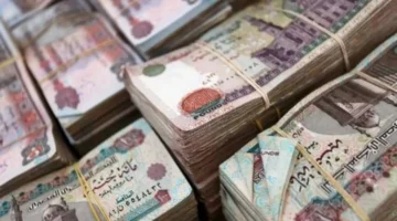 موعد صرف المعاشات.. تحديد 4 طرق رسمية لاستلام مستحقات شهر فبراير المقبل